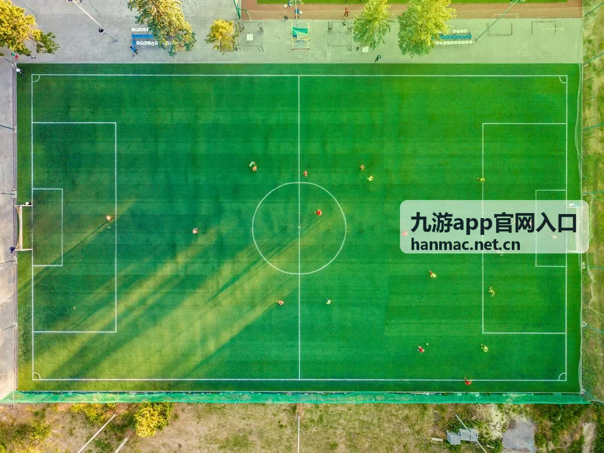九游app官网入口官方下载入口安全识别图示
